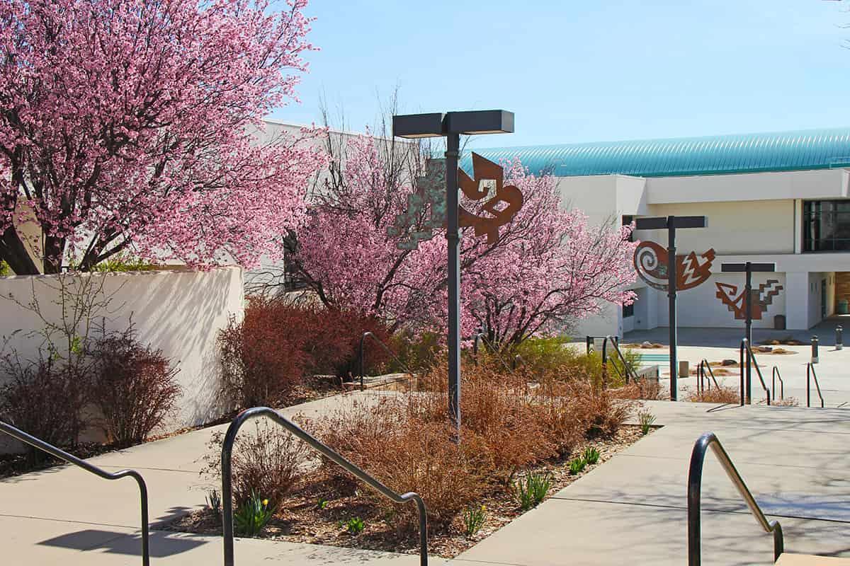 spring blossoms along the medallion walkway and stairs by learning commons plaza.